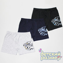 ������� �������/�������./������/������