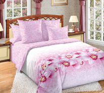 ������� ���������� ����� �� ������� ������ �������