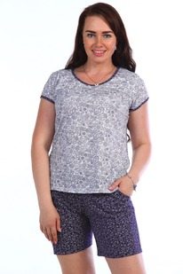 ������ ���������