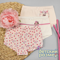 �����-������� - 2 ��. �/���. /������/������