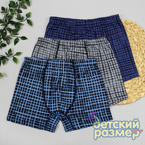 ������� �������/�������/������