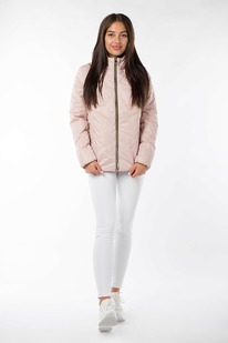 ������ ������������ (�������� 100)