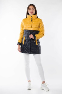 ������ ������������ University (�������� 150)