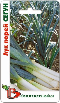 ��� ����� �����