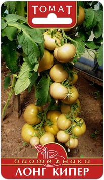 ����� ���� �����