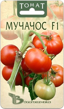 ����� ������� F1