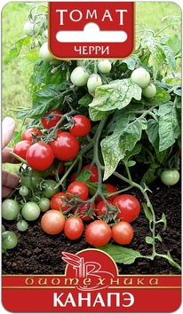 ����� ����� ������