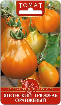 ����� �������� ������� ���������