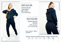 �������� WZ1A2-68 ��������� ������� BROSTEM