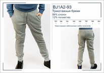 �������� BJ1A2-93 ����� ����������� ��� ��������� BROSTEM