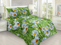 ������� ���������� ����� �� ���� (150��)  - 2085