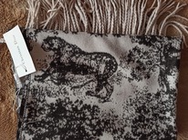 �������� ����