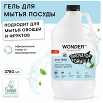 WONDER LAB -   ,      
