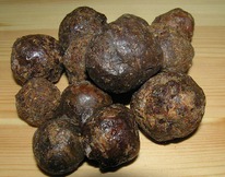 �������� 2025 ���