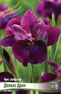 ���� ��������� ������ ����