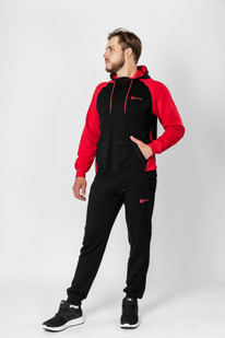 ���������� ������ �-1831: Ҹ���-����� / �������