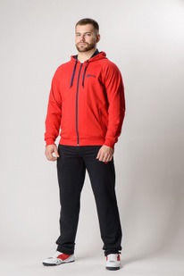 ���������� ������ �-1828: ������� / Ҹ���-�����