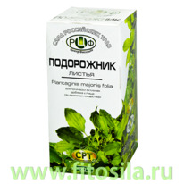 ����������, ������ 50 �, 