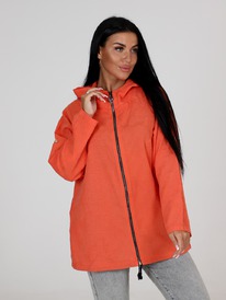 �� �������� ������� (������)