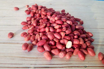 ������ �����, 0,5 ��