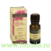 ������� 100% ������� ����� 10 ��, 