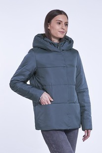 ������ ����