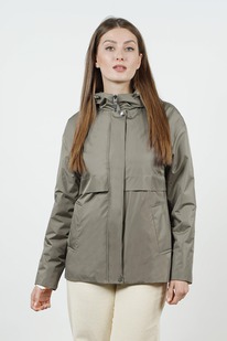 ������ ����