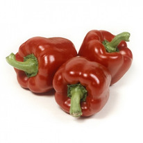 ������ ����� �������� ������� F1: 5�� Rijk Zwaan