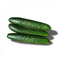 ������ ������ ������ F1 : 5�� Rijk Zwaan