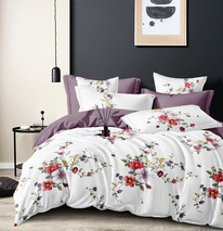 ������� ���������� ����� �� ������� (�������� �� ������� ) ����� ���� (1371)