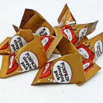 Too cool for School       Pumpkin Sleeping