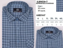  1LBM24H+7 (M-4XL)    . ., BROSTEM, 