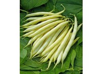 ��������� ������ ������ �������