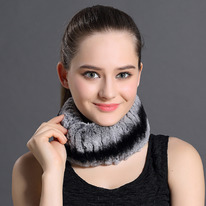 ���� �� ���� �������, ����� � ������������