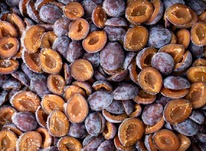 ����� ��������� �����������������