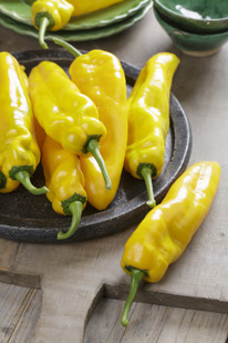 ������ ����� �������� ������� ����� F1: 3�� Rijk Zwaan