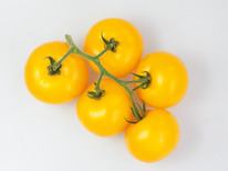 ������ ������ ��������� F1: 3�� Enza Zaden