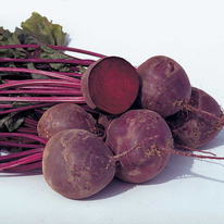 ������ ������ ���� F1 : 3�� Bejo