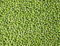 ������� ������ �����������������