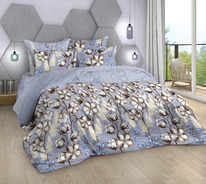 ������� ���������� ����� �� ���� ������� ������