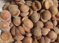 ������� ��������� ����������������