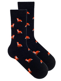 ����� �.40-45 