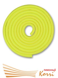 �������� �������������� SM-123 (�����������)