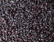 ��������� ������� �����������������