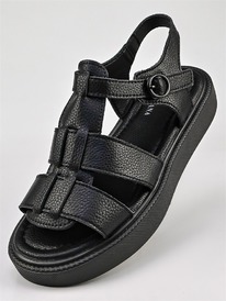 ������ ��������� ������� ������� Y81-3 ������