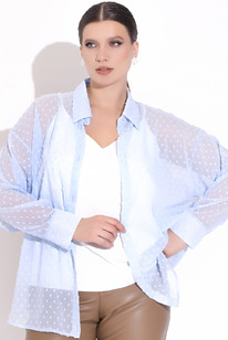 ������ ������� (����)