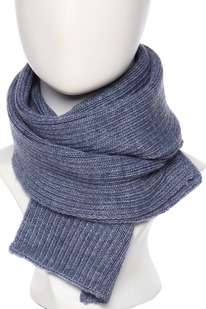 ���� Ferz ���������