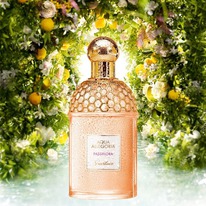 Guerlain Aqua Allegoria Passiflora ������ 35% �� 28.02.