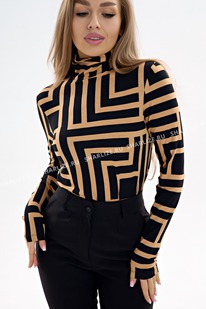 ���������, ���. 0263-69