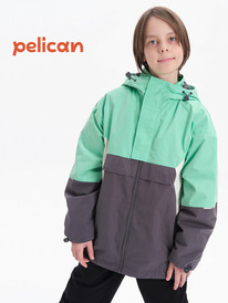 Pelican    BZIN3322 